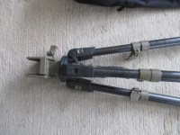Apex (3)